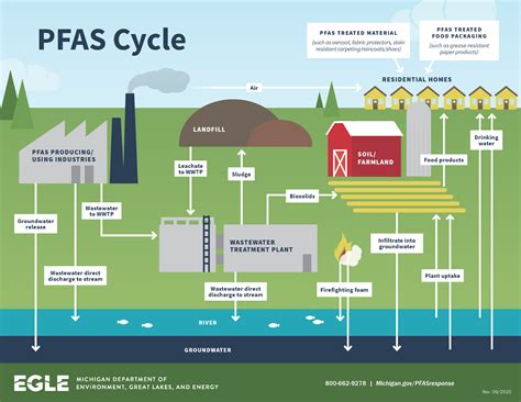 pfas meaning and effects